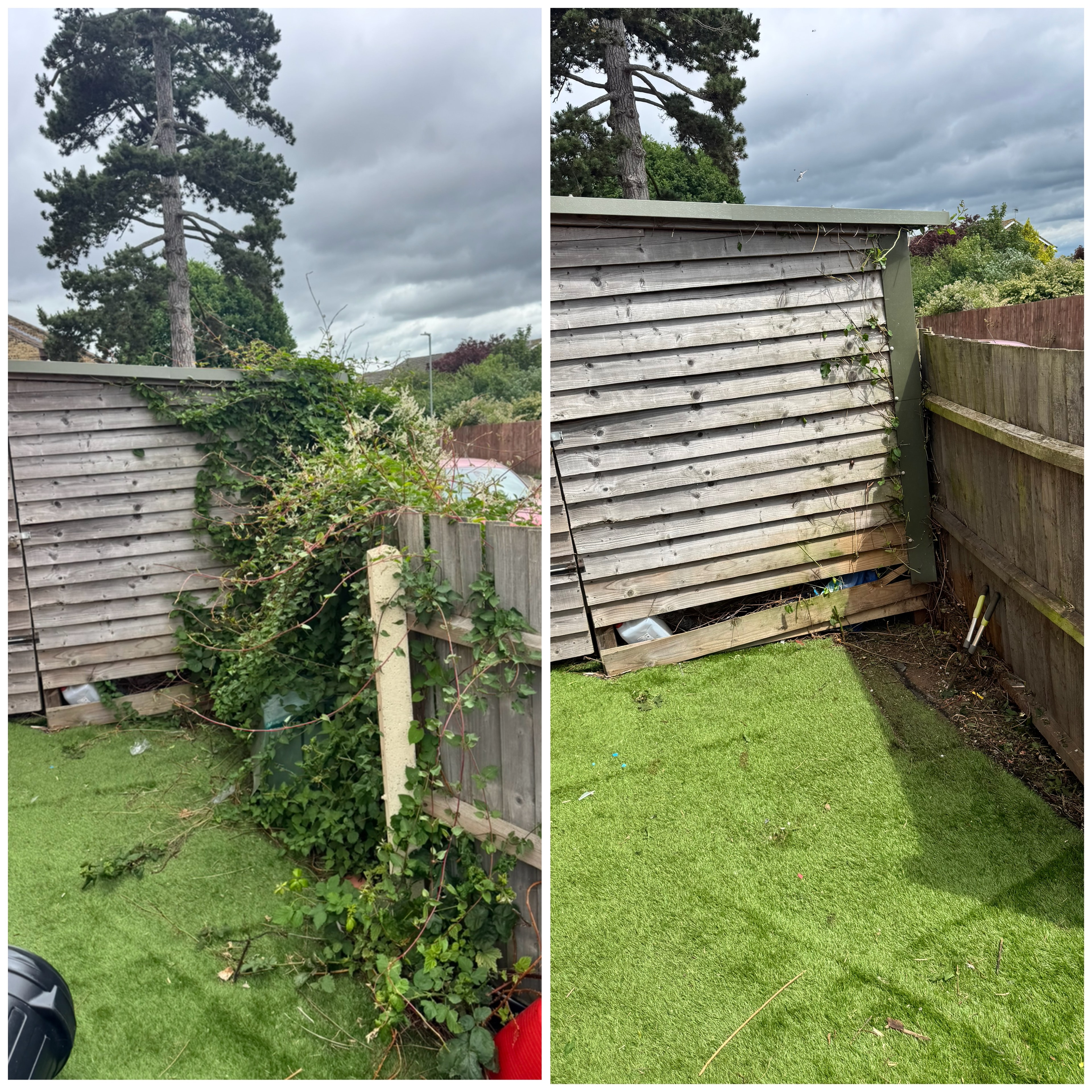 H2Clean garden services photo 6