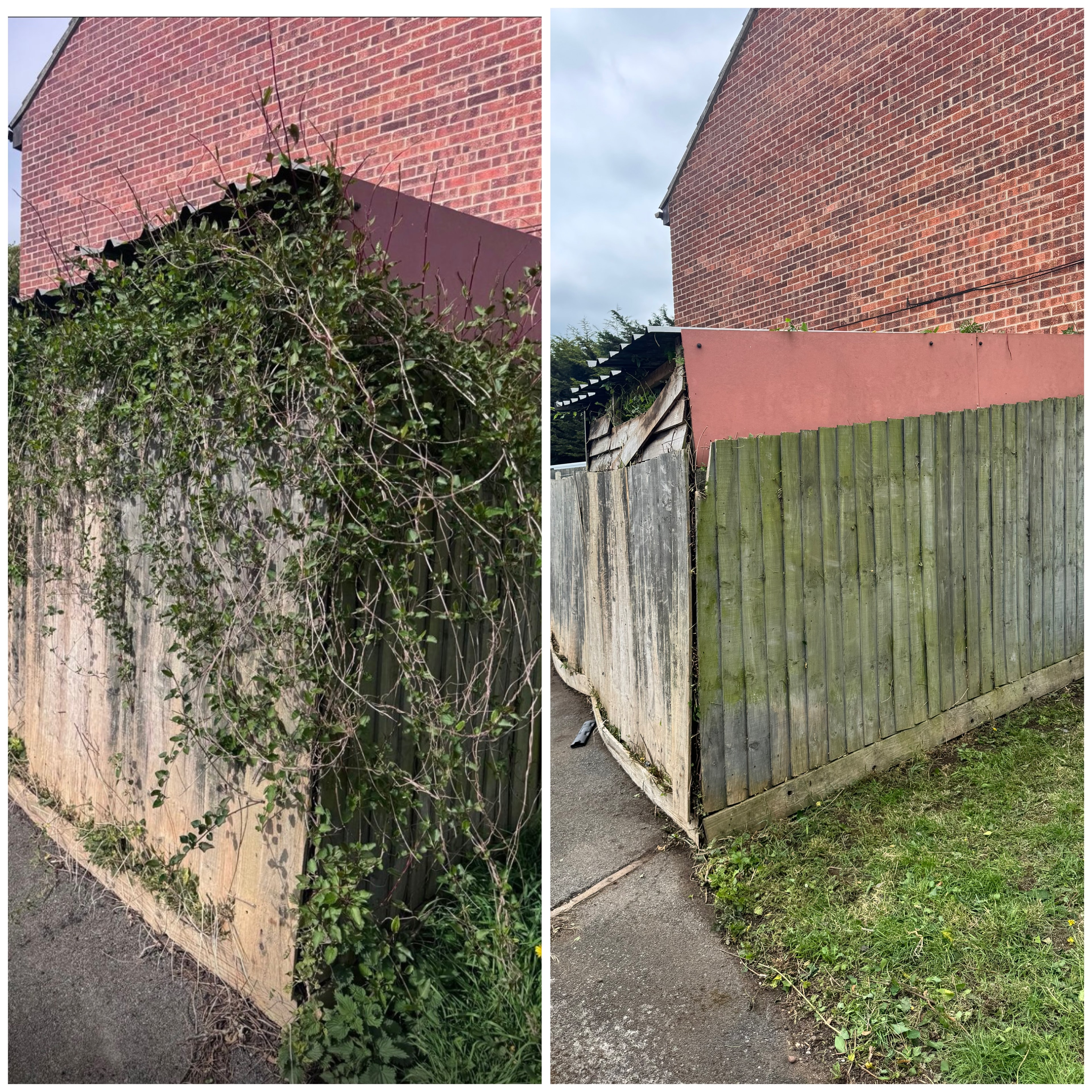 H2Clean garden services photo 9