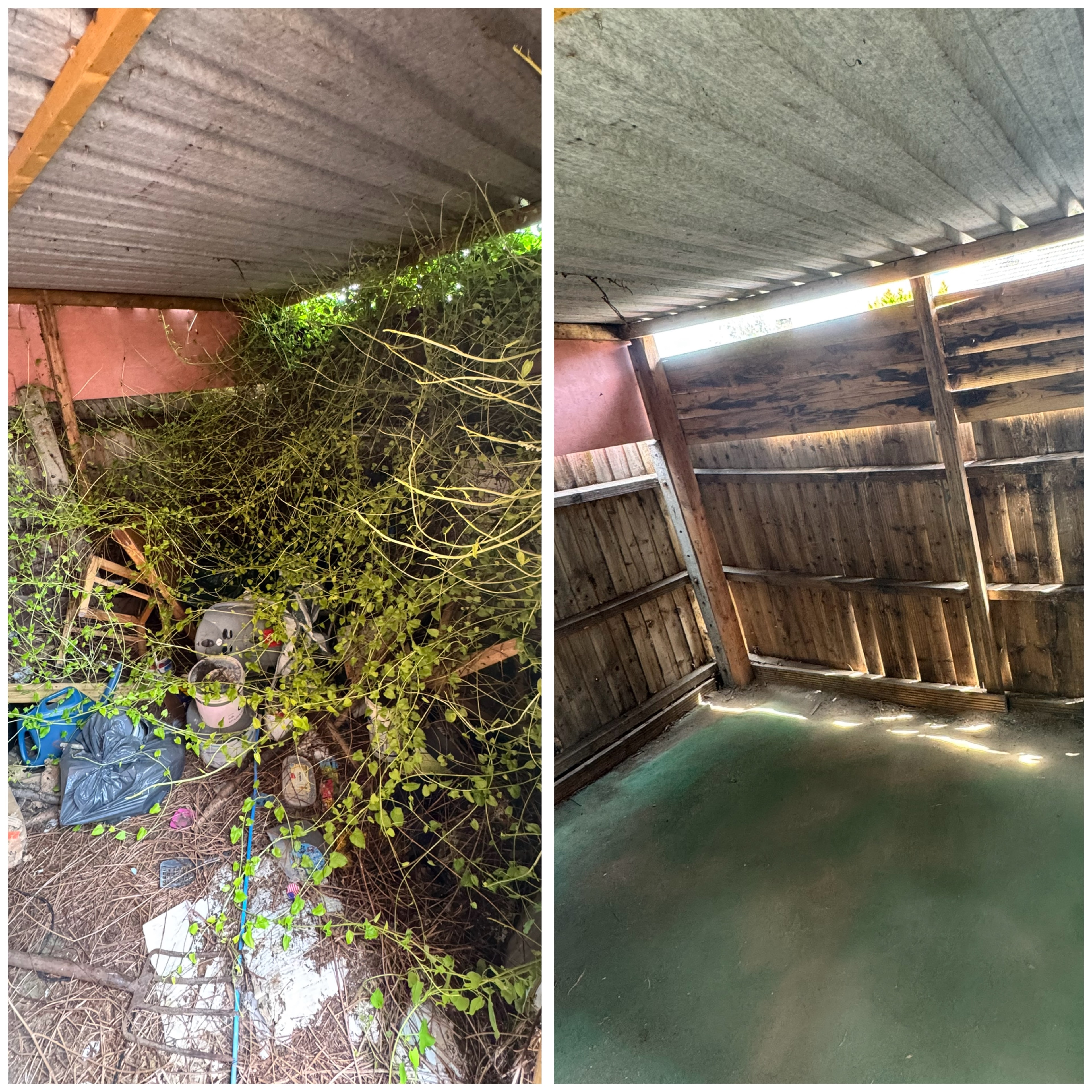 H2Clean garden services photo 8