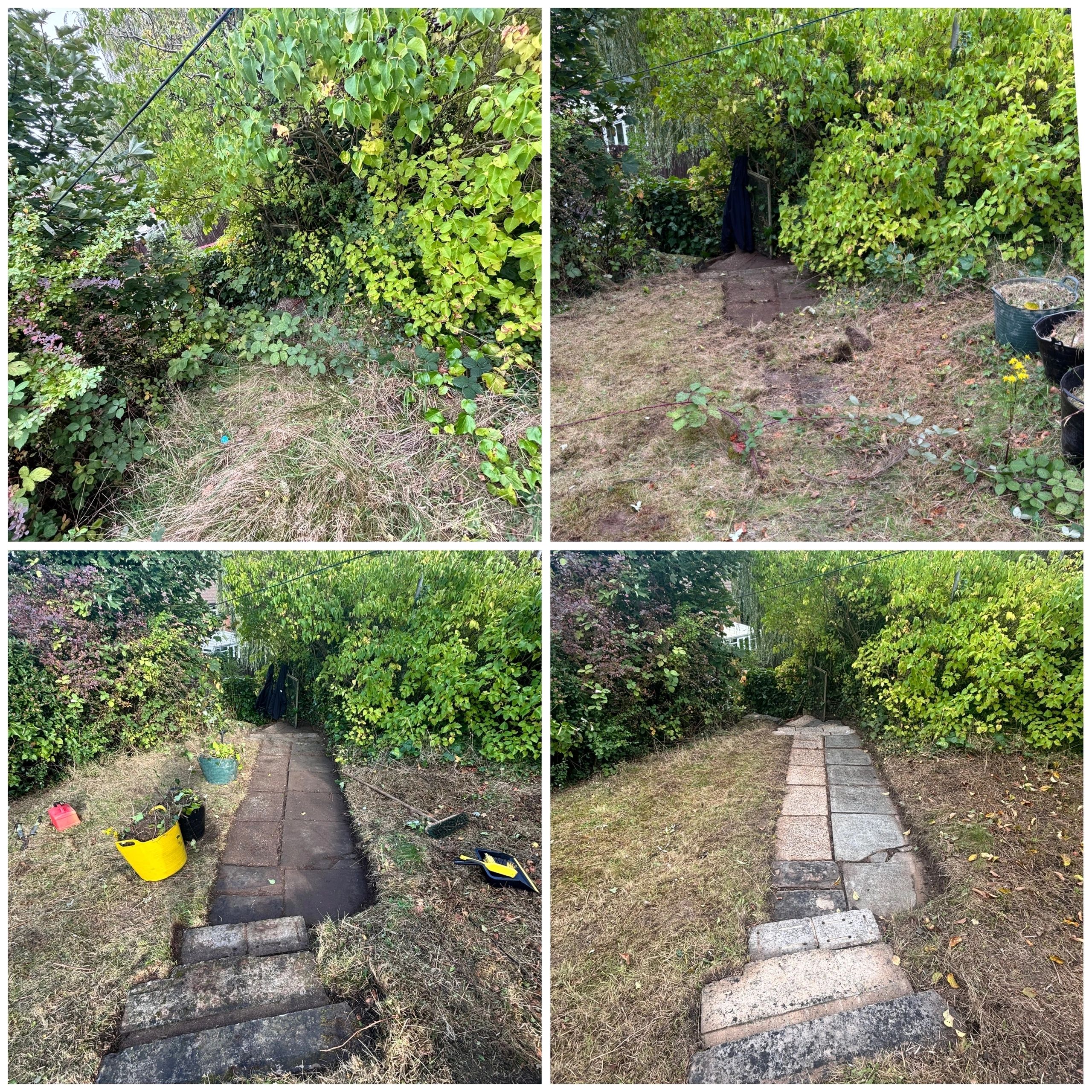 H2Clean garden services photo 2