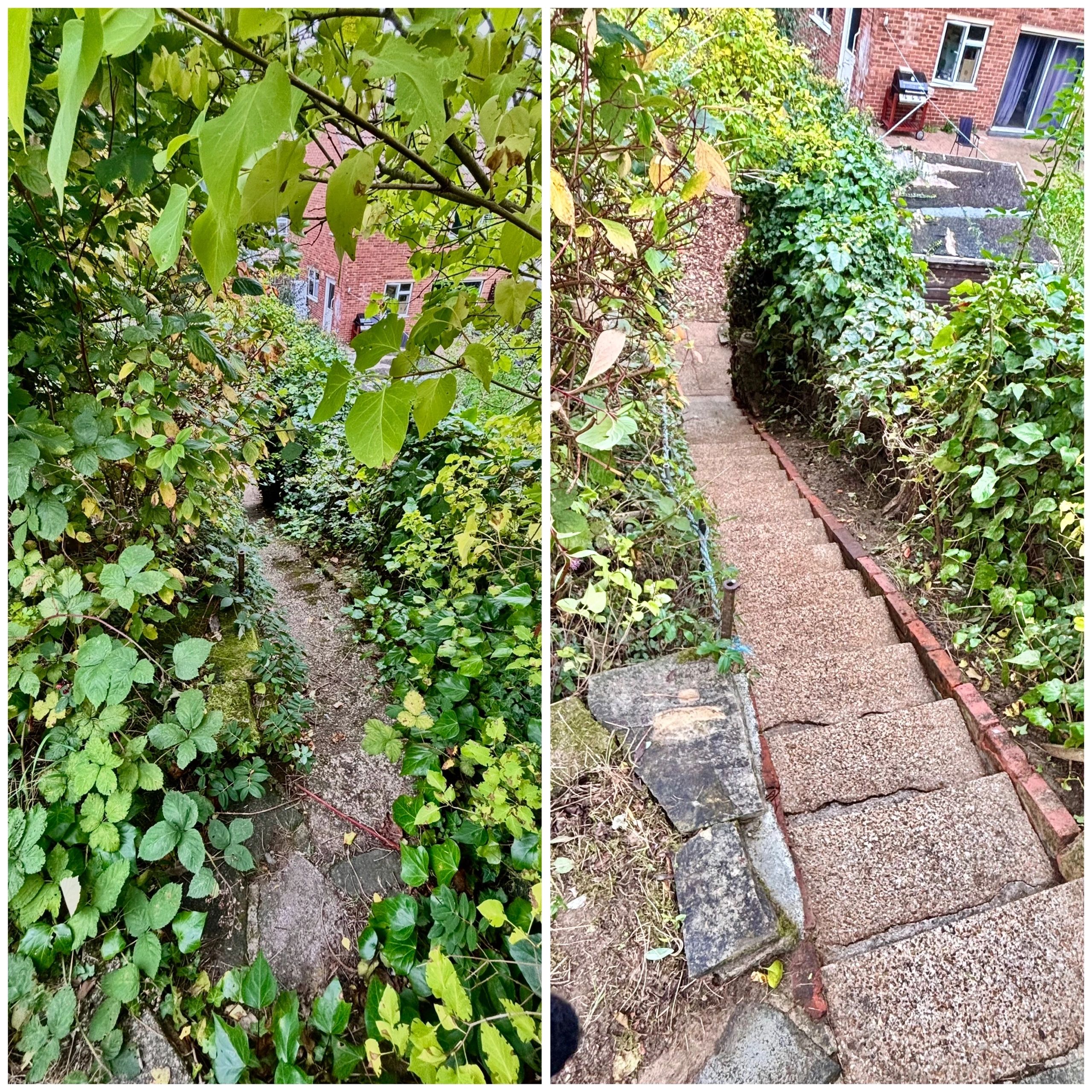 H2Clean garden services photo 4