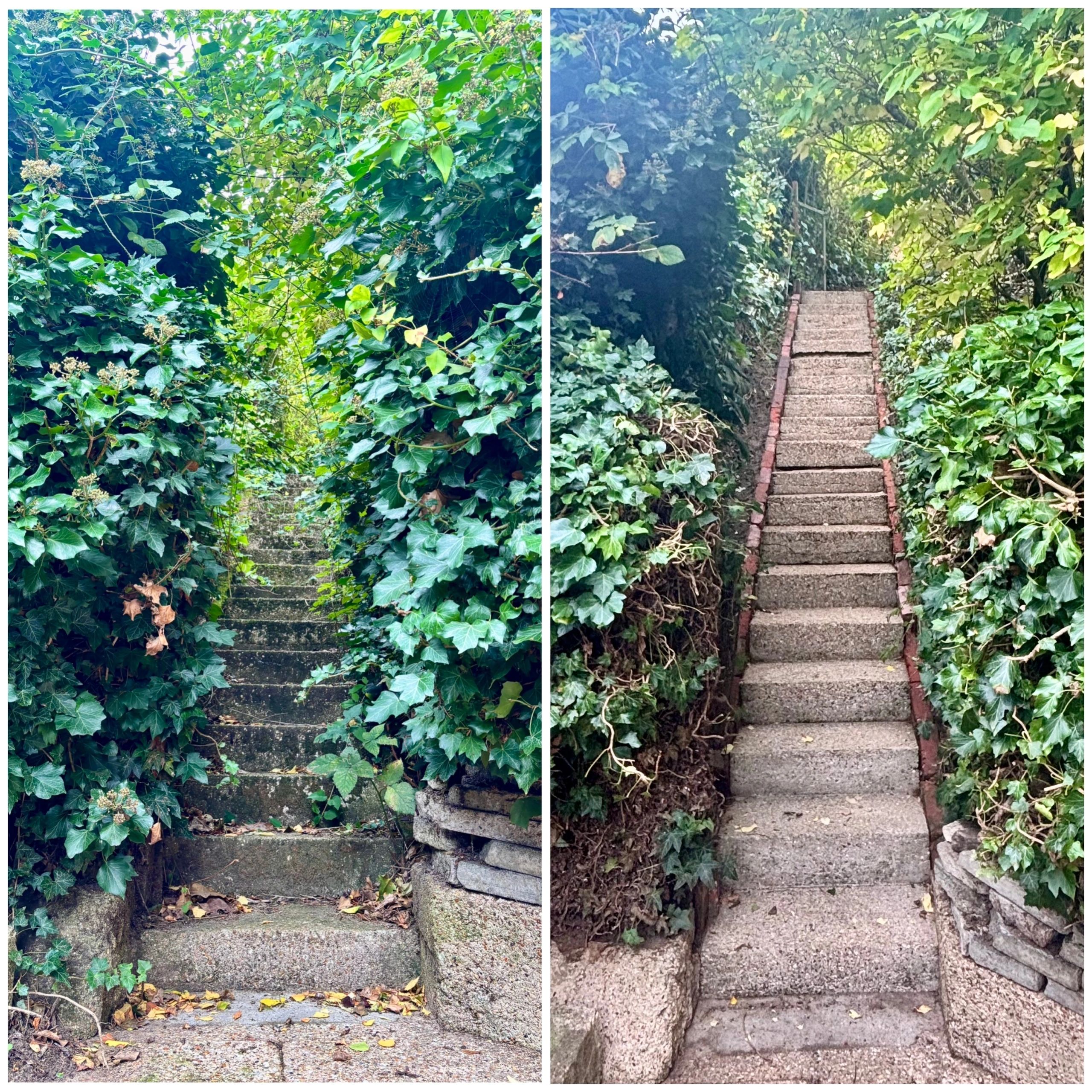 H2Clean garden services photo 3