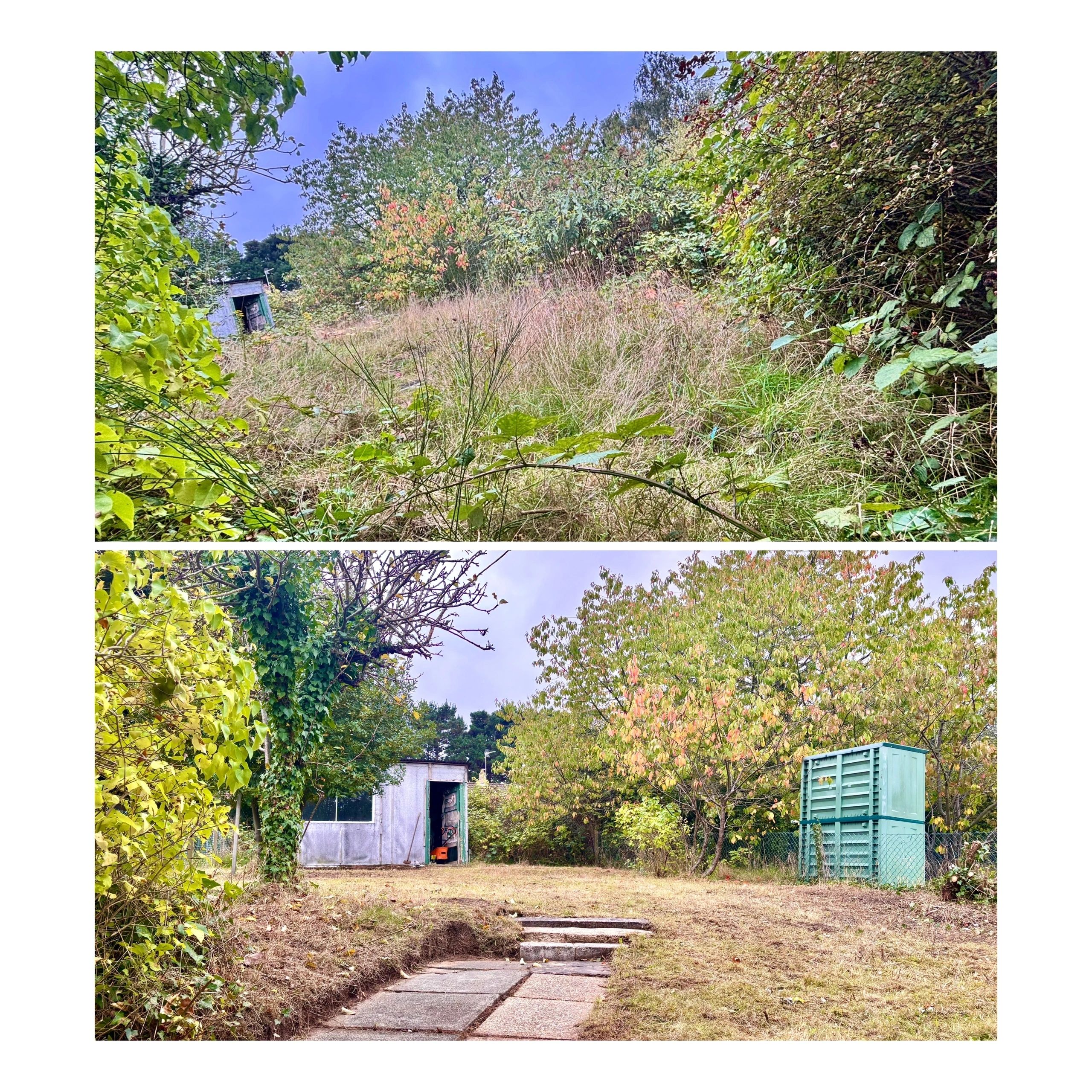 H2Clean garden services photo 5